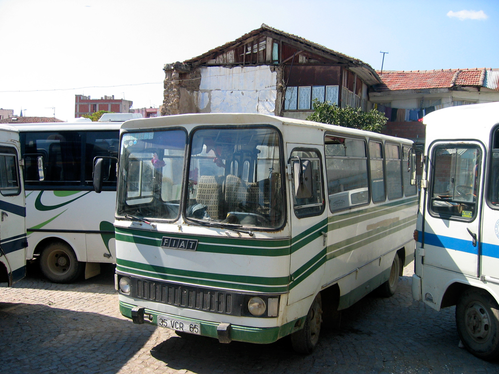 Autobuses-públicos