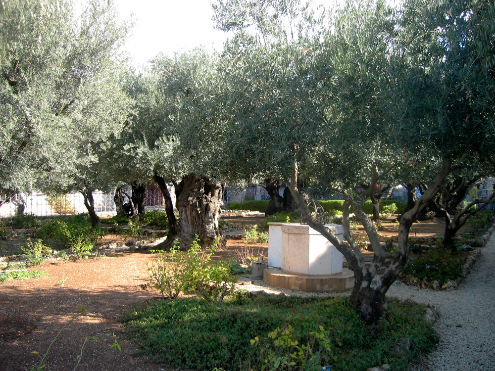 Los-jardines-de-Getsemaní