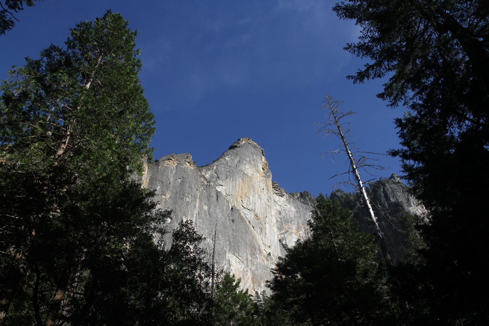 Pared-en-Yosemite-II