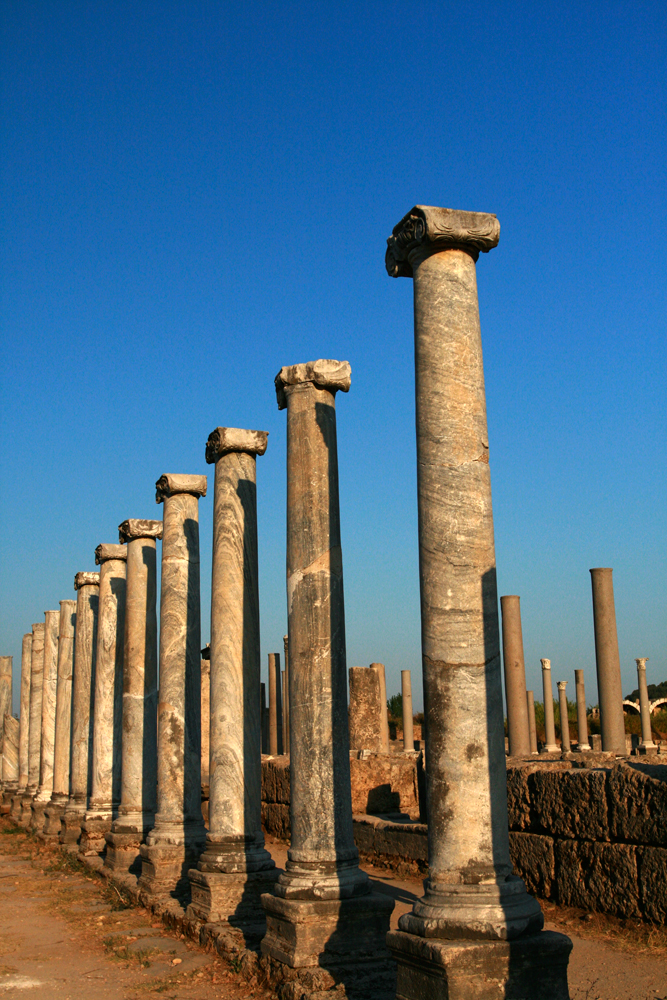 Columnas-jónicas-en-Perge