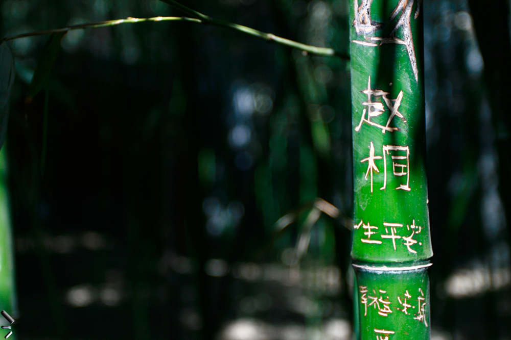 Caracteres-chinos-sobre-bambú